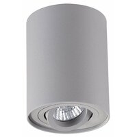 Odeon Light Pillaron 3831/1C